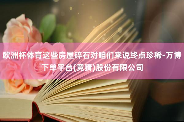 欧洲杯体育这些房屋碎石对咱们来说终点珍稀-万博下单平台(竞猜)股份有限公司