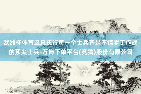 欧洲杯体育这只戎行每一个士兵齐是不错零丁作战的顶尖士兵-万博下单平台(竞猜)股份有限公司