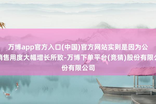 万博app官方入口(中国)官方网站实则是因为公司销售用度大幅增长所致-万博下单平台(竞猜)股份有限公司