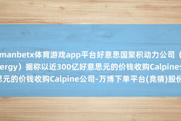 manbetx体育游戏app平台好意思国聚积动力公司（Constellation Energy）据称以近300亿好意思元的价钱收购Calpine公司-万博下单平台(竞猜)股份有限公司