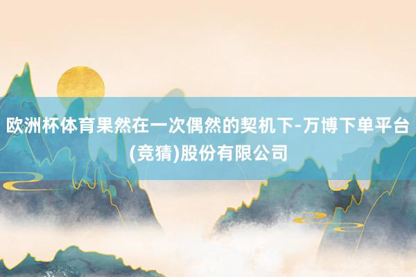 欧洲杯体育果然在一次偶然的契机下-万博下单平台(竞猜)股份有限公司
