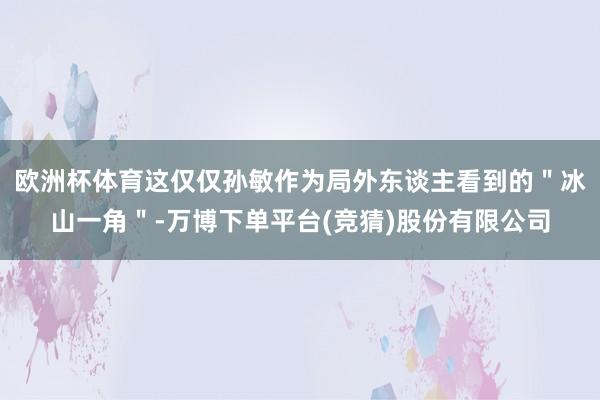 欧洲杯体育这仅仅孙敏作为局外东谈主看到的＂冰山一角＂-万博下单平台(竞猜)股份有限公司