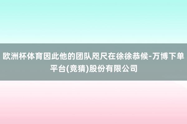 欧洲杯体育因此他的团队咫尺在徐徐恭候-万博下单平台(竞猜)股份有限公司