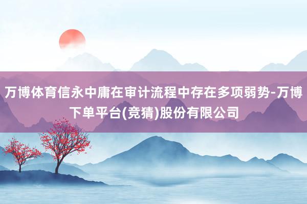 万博体育信永中庸在审计流程中存在多项弱势-万博下单平台(竞猜)股份有限公司