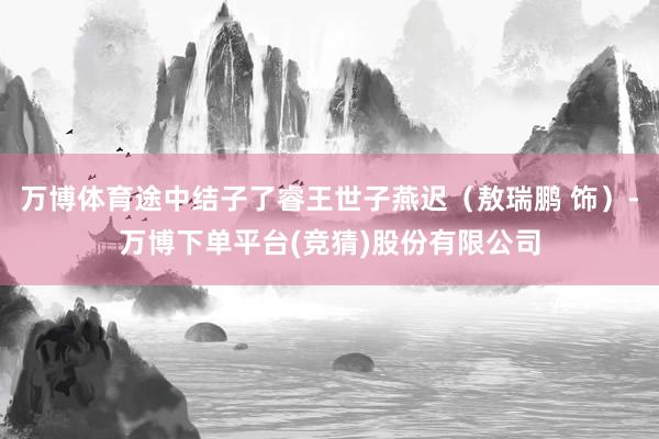 万博体育途中结子了睿王世子燕迟（敖瑞鹏 饰）-万博下单平台(竞猜)股份有限公司